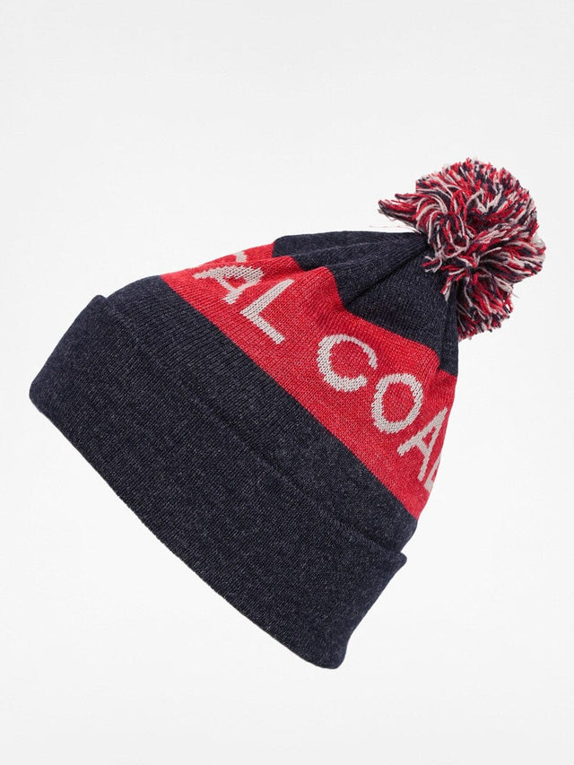 Coal The Team Beanie Heather Navy
