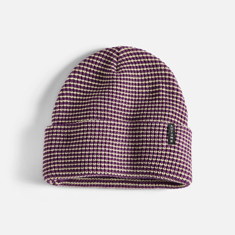 Autumn Stripe Beanie