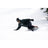 Lib Tech DPR Snowboard 2027