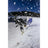 Rome Viper Snowboard 2027