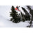 Rome Womens Viper Snowboard 2027
